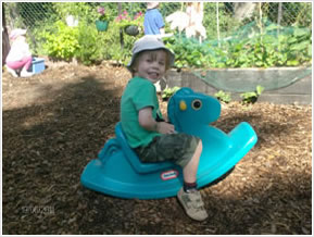 Riding over to the veg patch